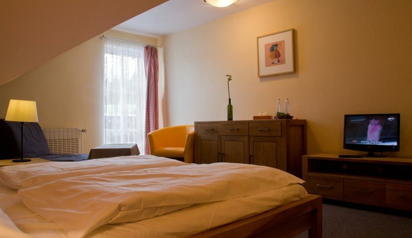 Hotel Erika Špindlerův Mlýn